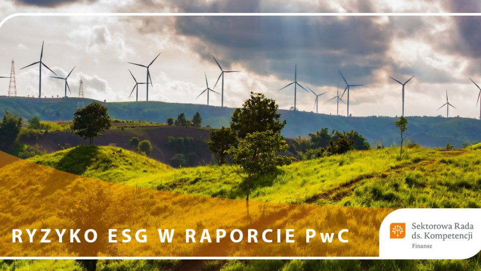 Raport - ESG - miecz Demoklesa czy szansa na strategiczną zmianę - PwC, FRN, CFA Society Poland, SN CRN - Ryzyko ESG w raporcie PwC