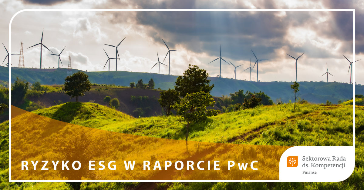 Raport - ESG - miecz Demoklesa czy szansa na strategiczną zmianę - PwC, FRN, CFA Society Poland, SN CRN - Ryzyko ESG w raporcie PwC